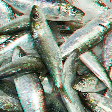 1315169654barca-boquerones.jpg